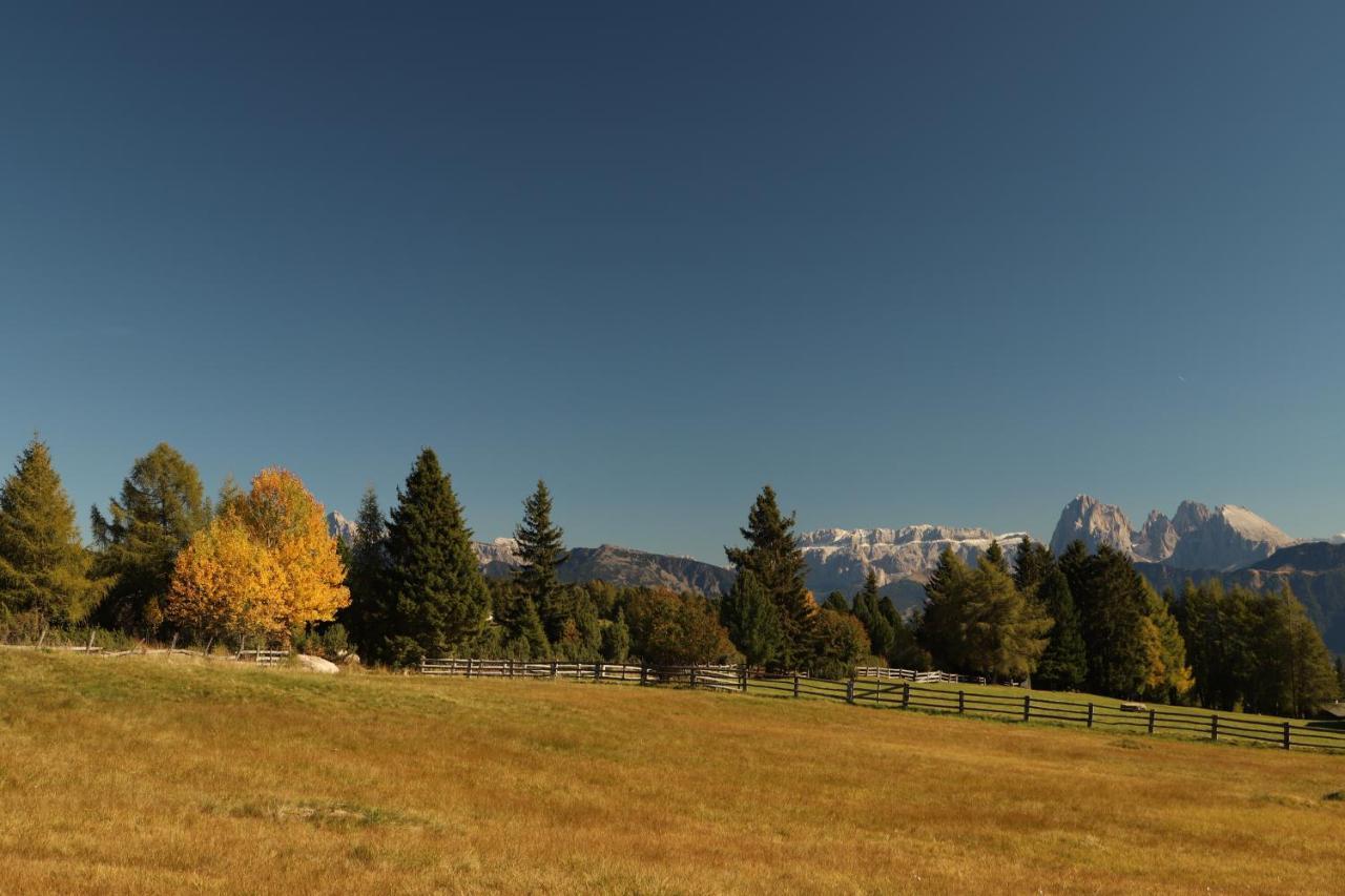 Residence Alpenrose Bressanone Zewnętrze zdjęcie