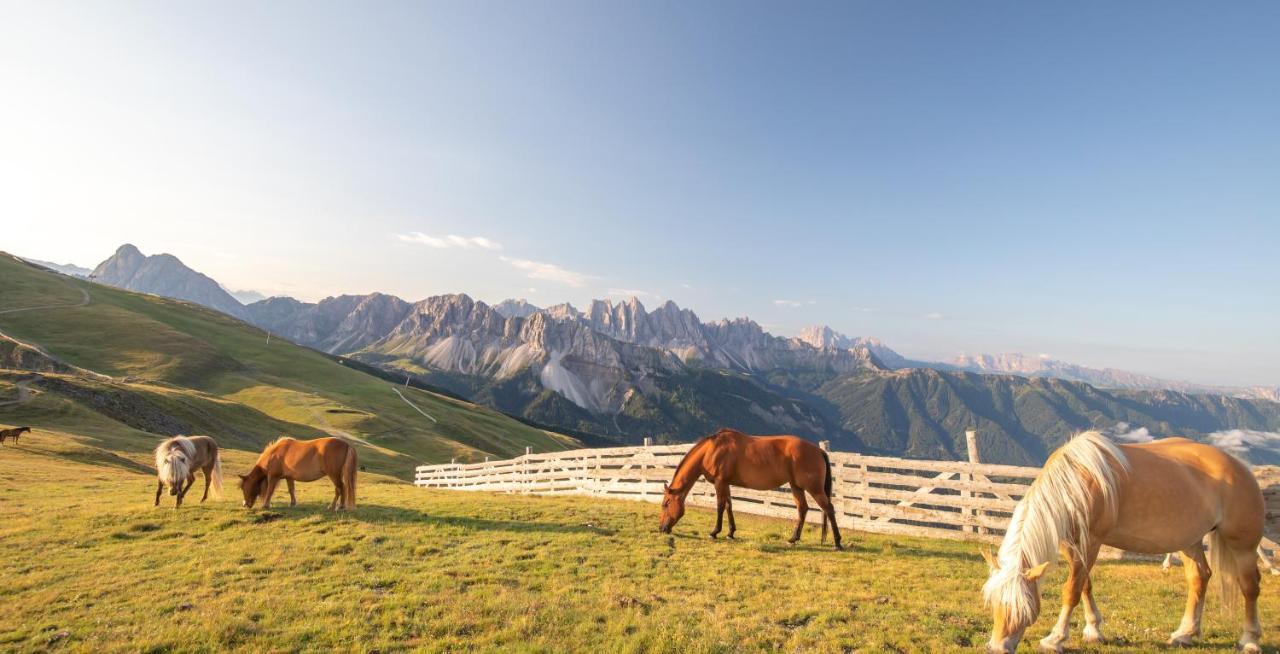Residence Alpenrose Bressanone Zewnętrze zdjęcie
